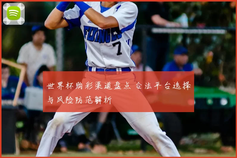 世界杯购彩渠道盘点 合法平台选择与风险防范解析