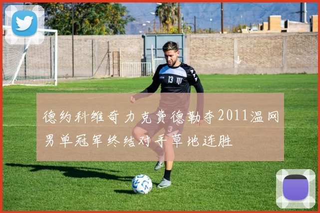 德约科维奇力克费德勒夺2011温网男单冠军终结对手草地连胜