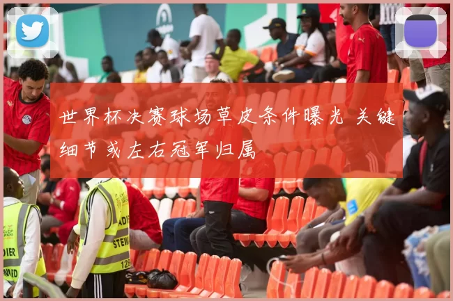 世界杯决赛球场草皮条件曝光 关键细节或左右冠军归属