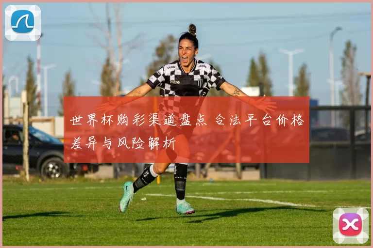 世界杯购彩渠道盘点 合法平台价格差异与风险解析